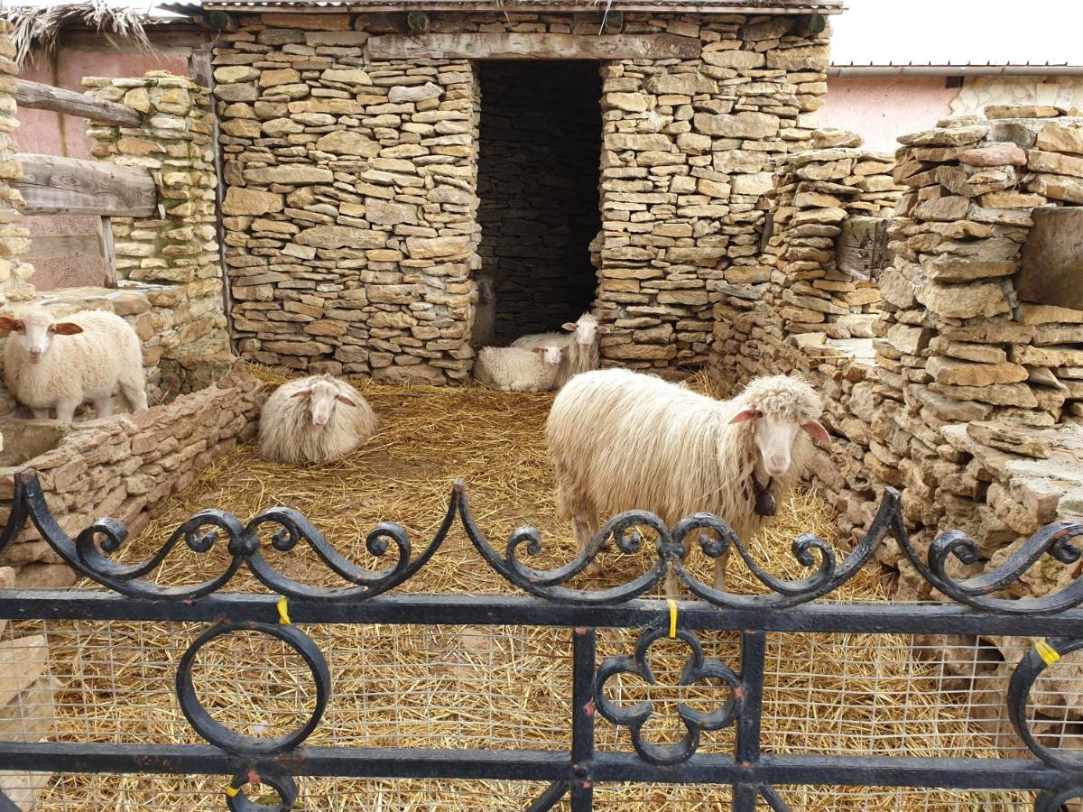 Agriturismo Duca Di San Martino Villa Partanna Luaran gambar