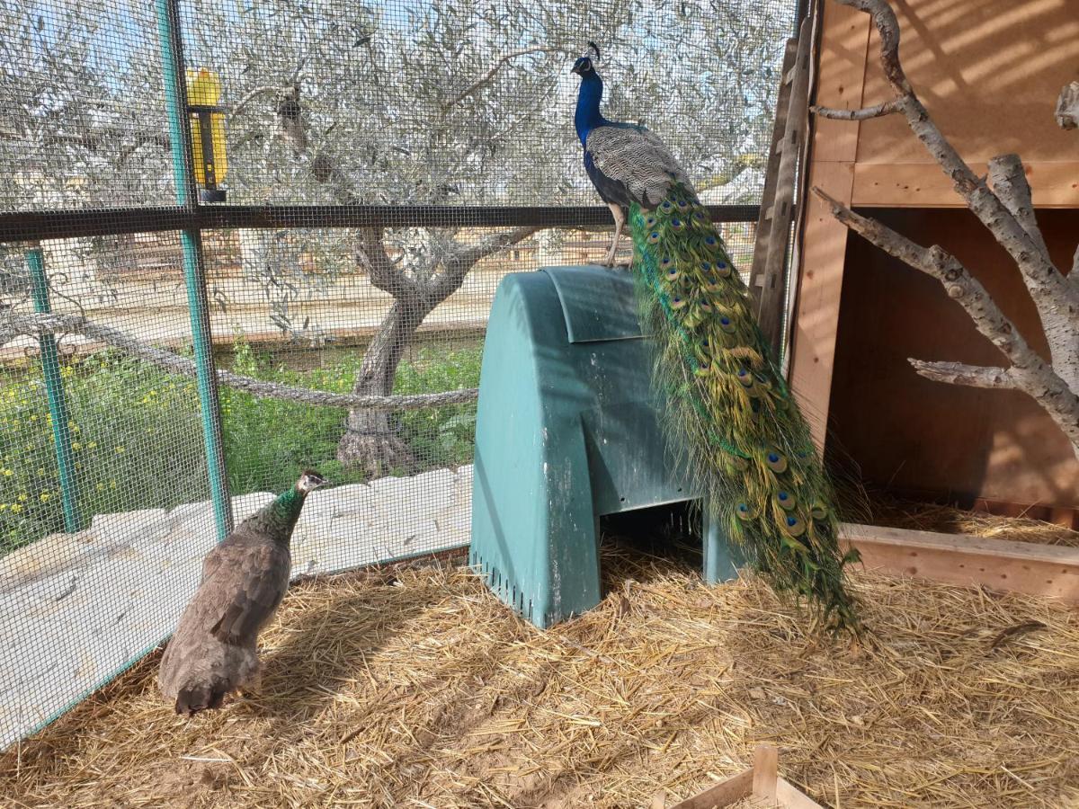 Agriturismo Duca Di San Martino Villa Partanna Luaran gambar