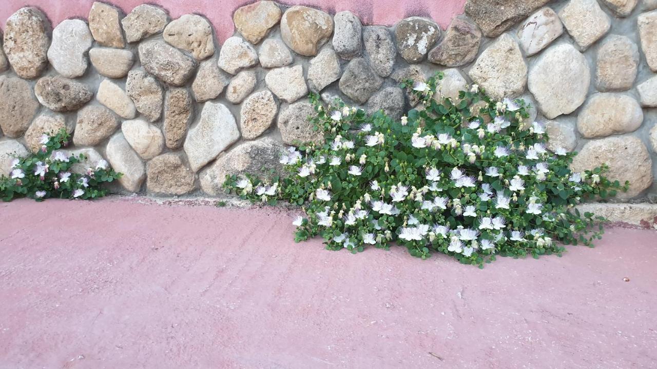 Agriturismo Duca Di San Martino Villa Partanna Luaran gambar