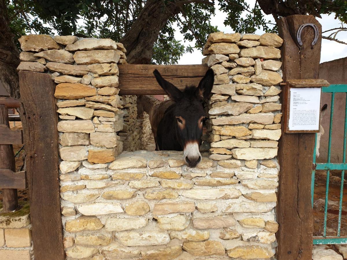 Agriturismo Duca Di San Martino Villa Partanna Luaran gambar